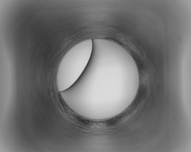 X0000112530599200908171146