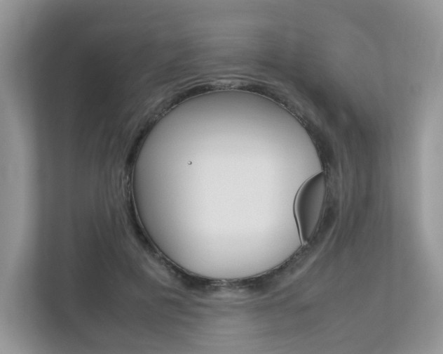 X0000112530601200908171146