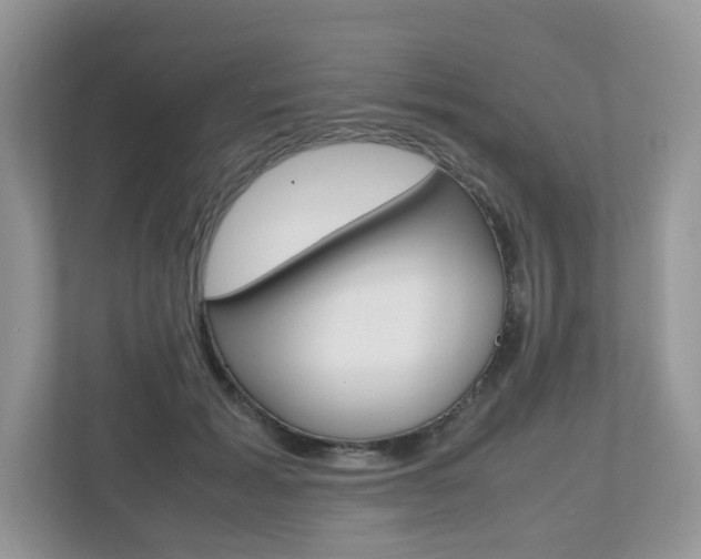 X0000112530605200908171146