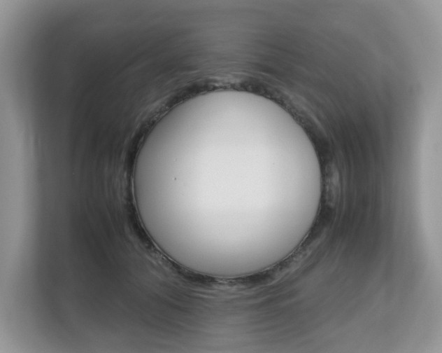 X0000112530608200908171146