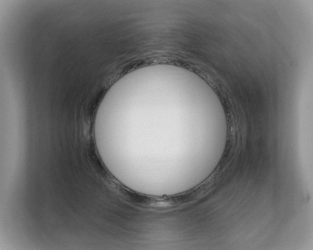X0000112530610200908171146