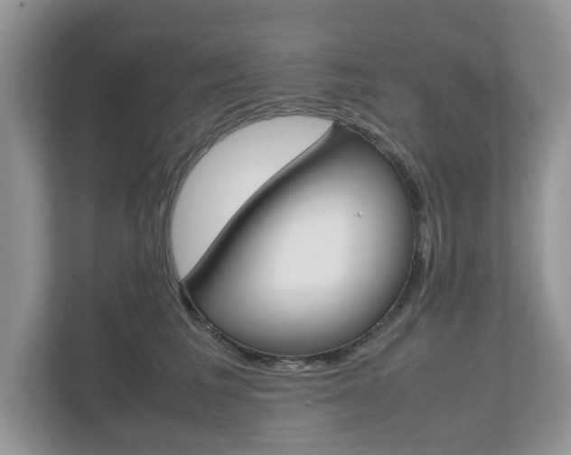 X0000112530613200908171146