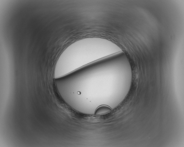 X0000112530615200908171146