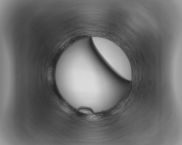 X0000112530616200908171146