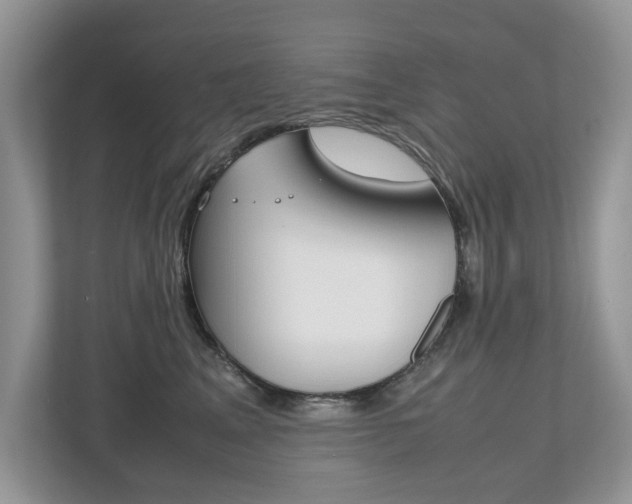 X0000112530617200908171146