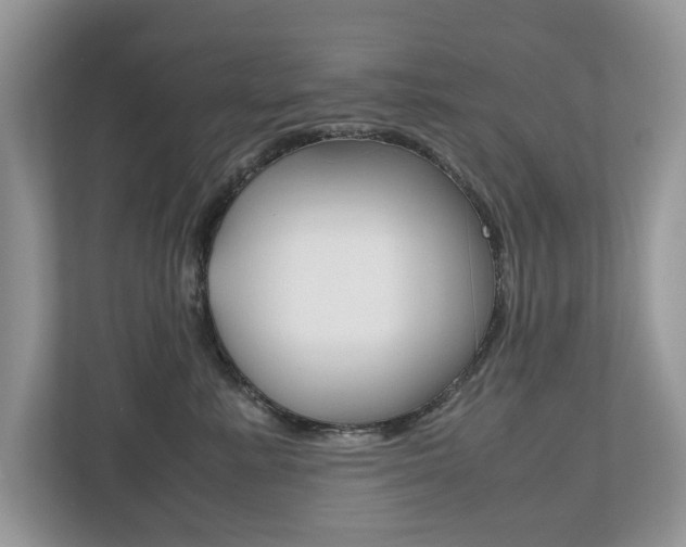X0000112530619200908171146