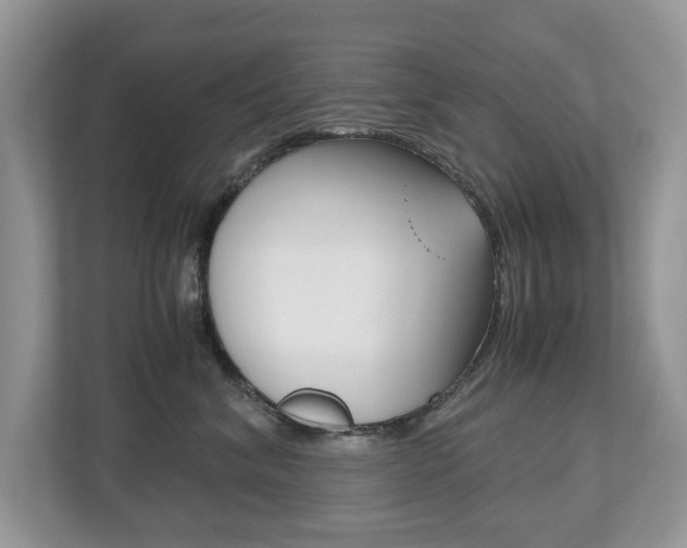 X0000112530620200908171146