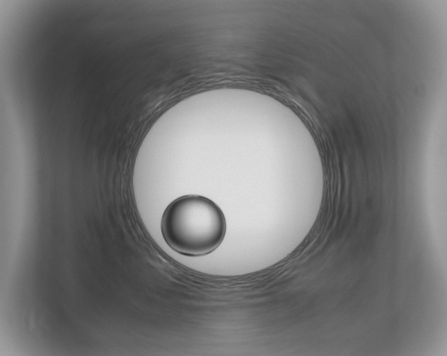 X0000112530621200908171146