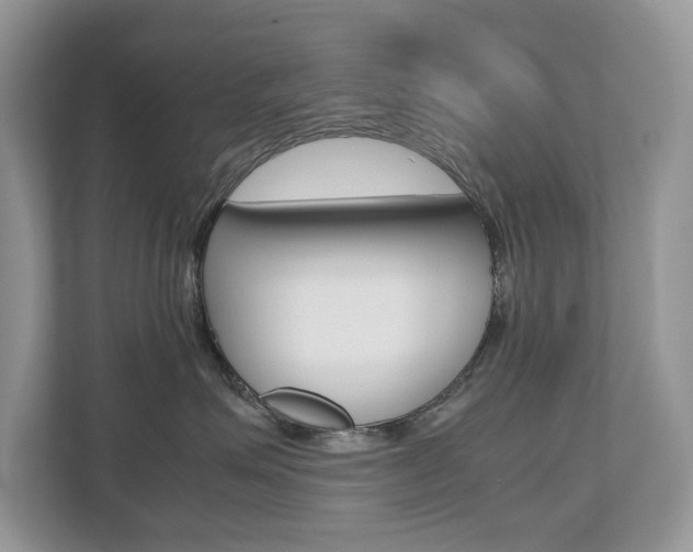 X0000112530623200908171146