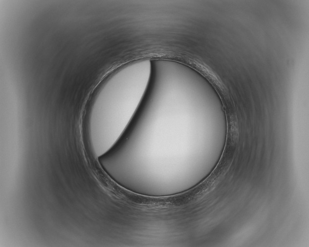 X0000112530626200908171145