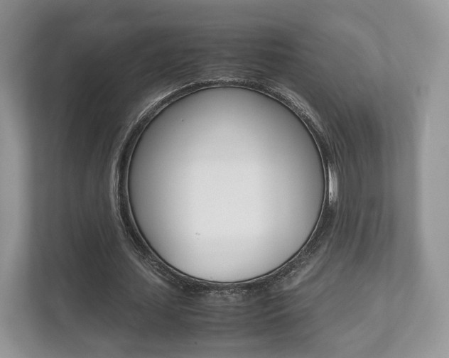 X0000112530627200908171145