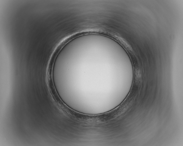 X0000112530628200908171145