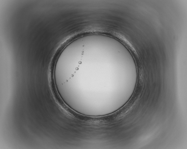 X0000112530629200908171145