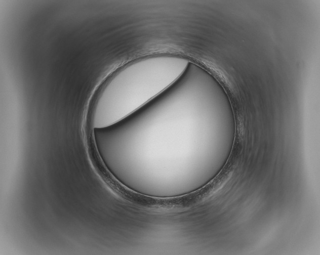 X0000112530630200908171145
