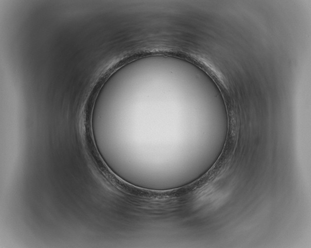 X0000112530631200908171145