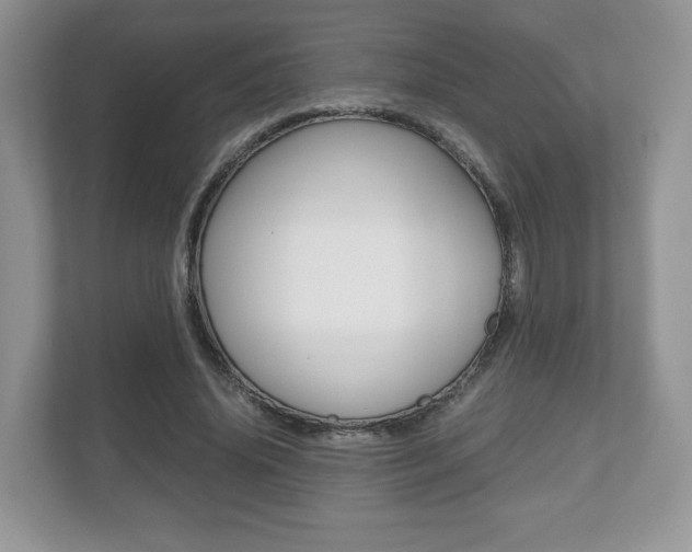 X0000112530636200908171145