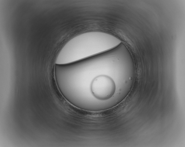 X0000112530639200908171145