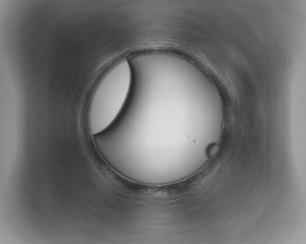 X0000112530640200908171146