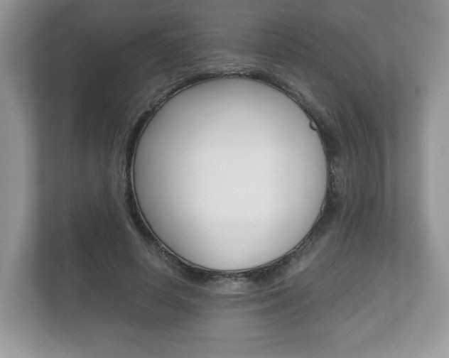 X0000112530642200908171146