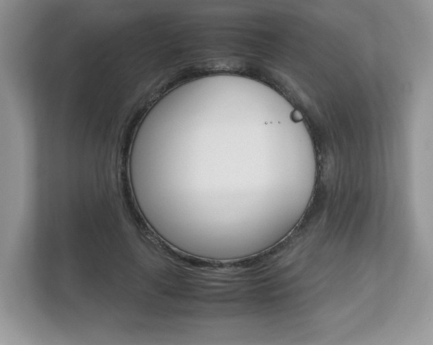 X0000112530643200908171146