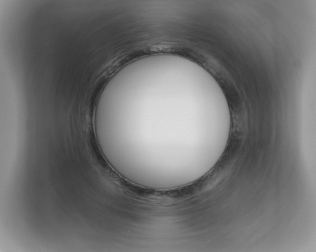 X0000112530648200908171146