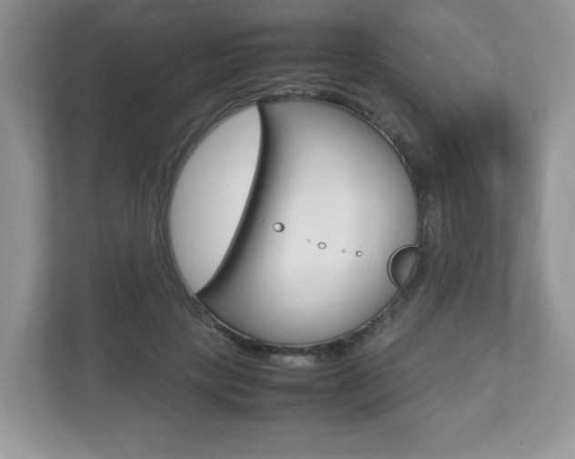 X0000112530649200908171146