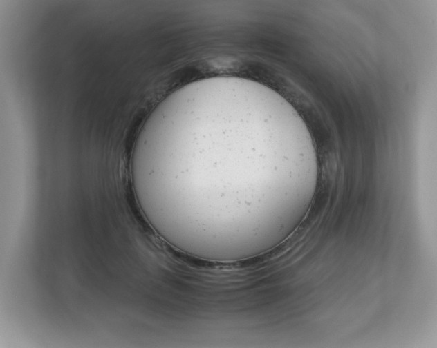 X0000112530651200908171146
