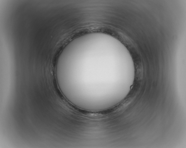 X0000112530654200908171146