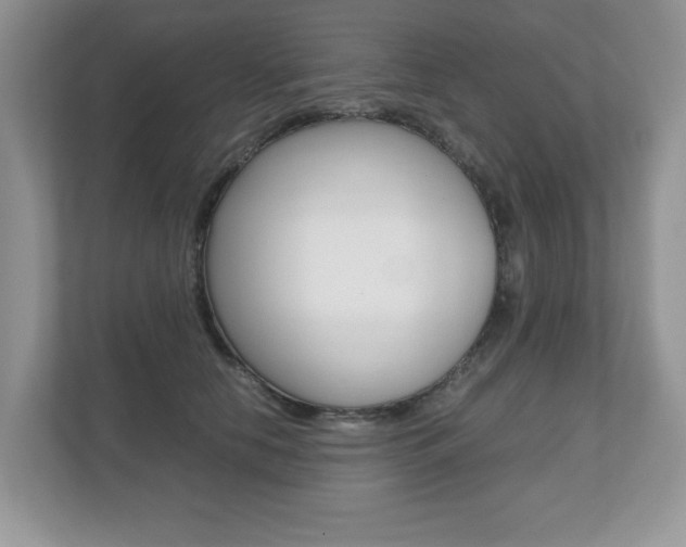 X0000112530658200908171146