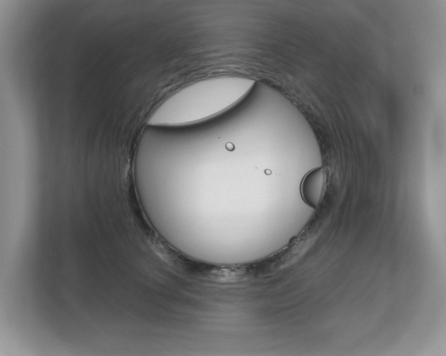 X0000112530660200908171146