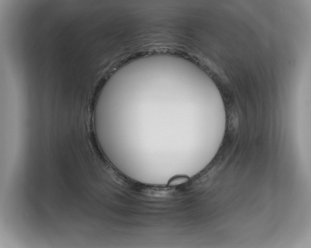 X0000112530661200908171146