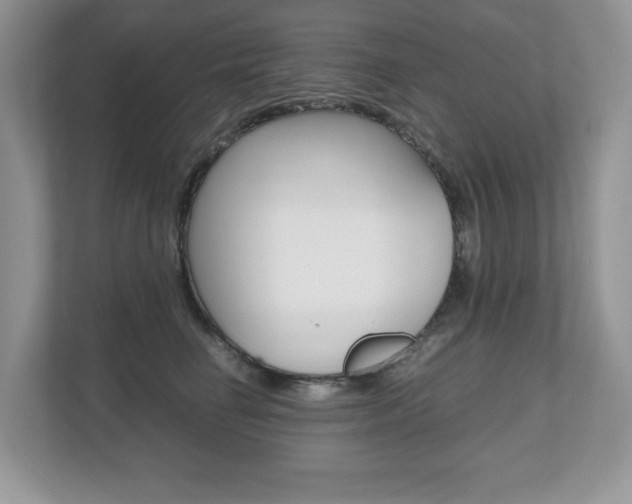 X0000112530662200908171146