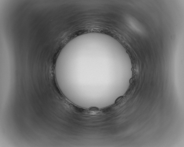 X0000112530663200908171146