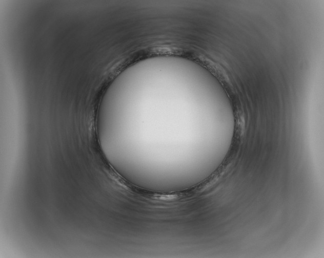 X0000112530665200908171146