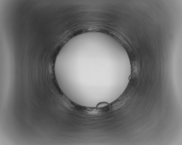 X0000112530667200908171146