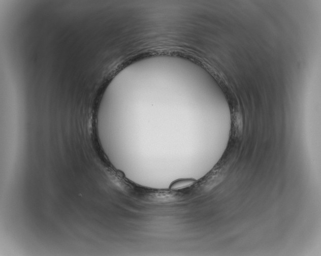 X0000112530668200908171146