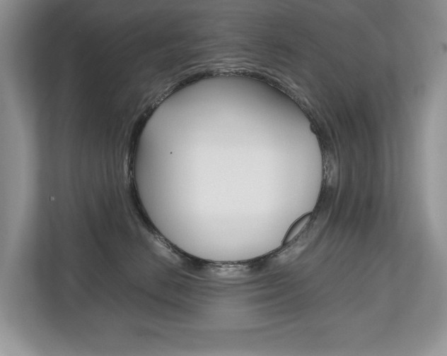 X0000112530670200908171146