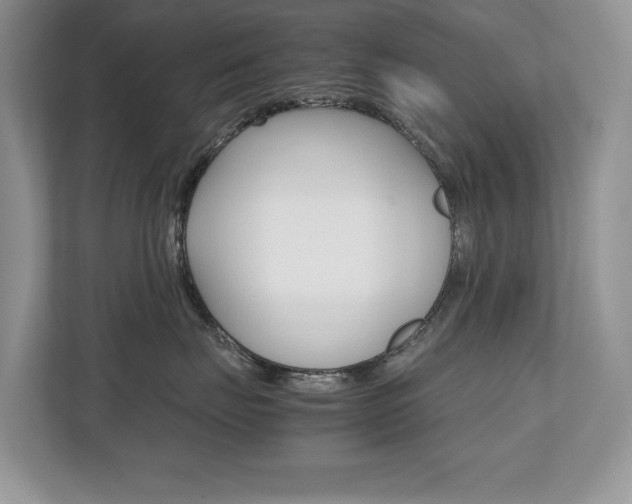 X0000112530671200908171146