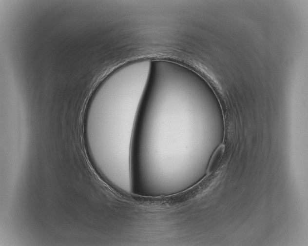 X0000112530673200908171145
