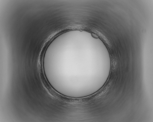 X0000112530674200908171145