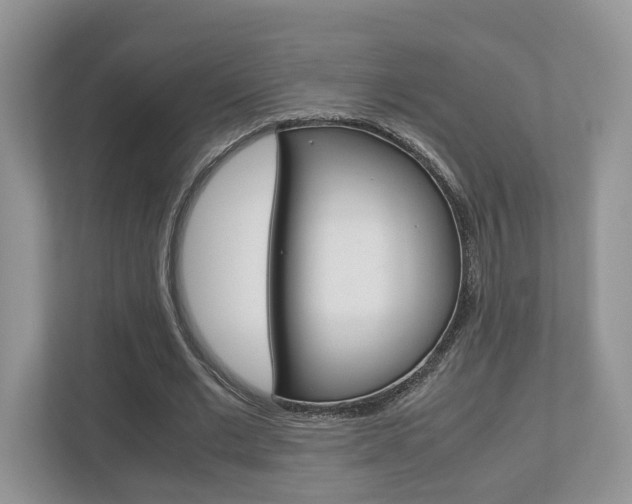 X0000112530677200908171145