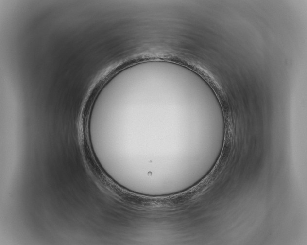 X0000112530678200908171145