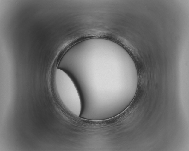 X0000112530679200908171145