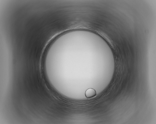 X0000112530680200908171145
