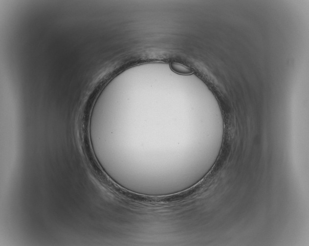 X0000112530683200908171145