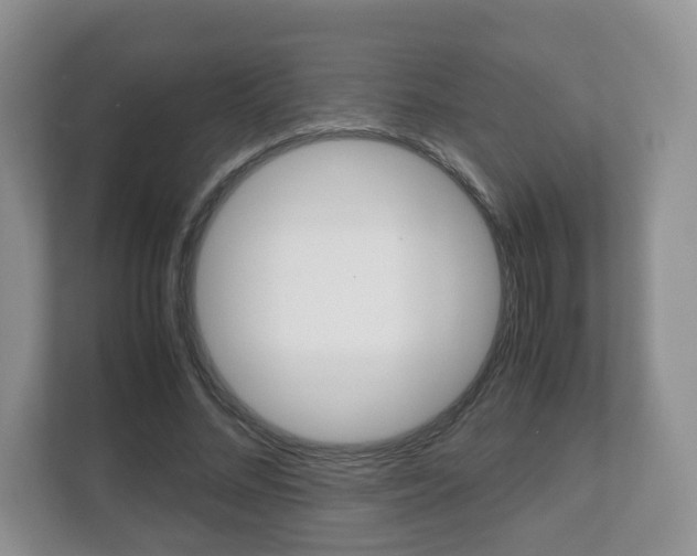 X0000112530684200908171145