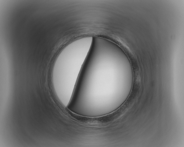 X0000112530685200908171145