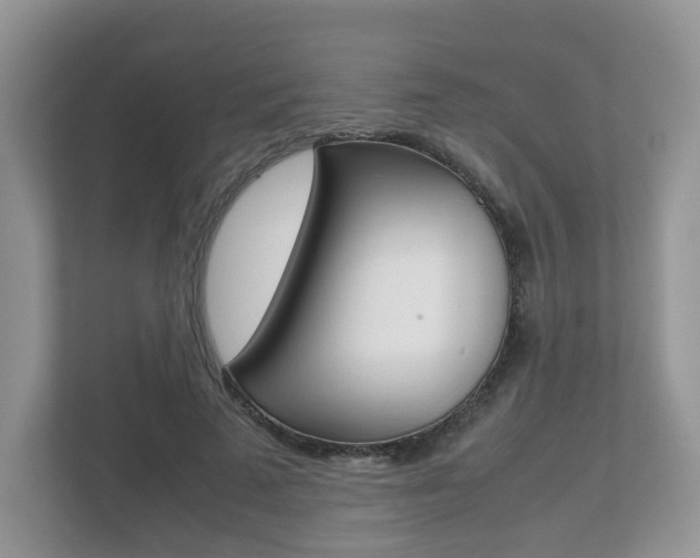 X0000112530689200908171145