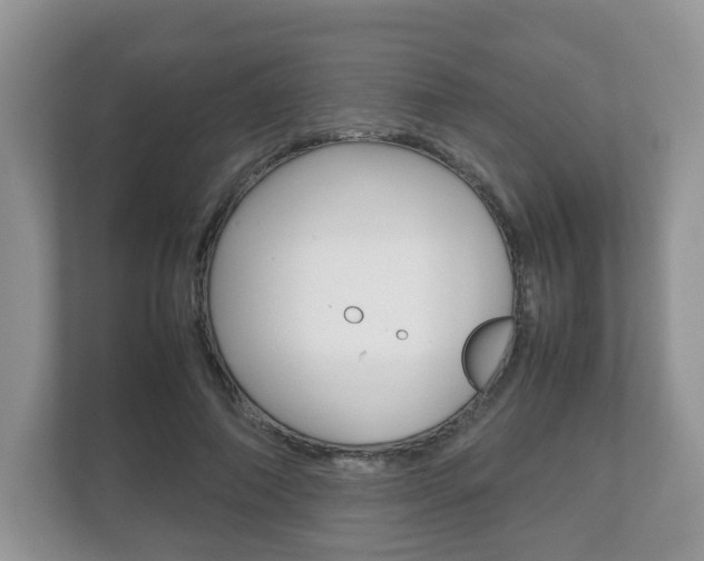 X0000112530690200908171145