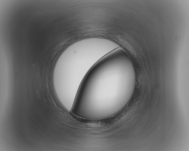 X0000112530693200908171145